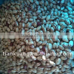 Good Light Speckled Kidney Beans thumbnail-1