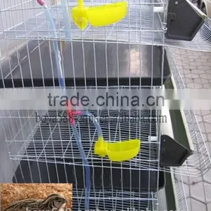 Automatic Quail Cages 720 Layer Quails for Large Scale Quail Farm thumbnail-2