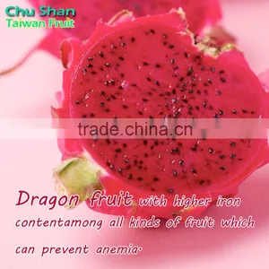 Fresh Dragon Fruit Exporter From Taiwan thumbnail-5