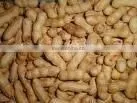 Chinese Peanut in Shell thumbnail-1