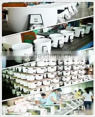 Zhanjiang Attain Industry Enterprises Co., Ltd. company overview - view 2 thumbnail