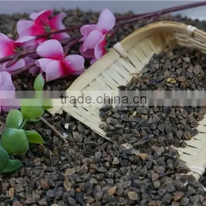 High Quality Raw Buckwheat Price thumbnail-4