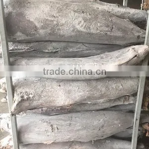 Land Frozen Black Marlin 20kg up for Sale thumbnail-1