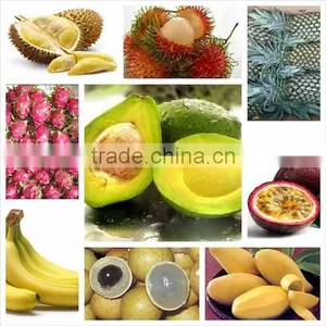 Fresh Tropical Fruit Sweet From Vietnam thumbnail-1