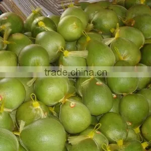 Vietnam Fresh Pomelo Competitive Price and High Quality thumbnail-1
