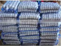 Beautiful Quality Chinese Pure White Garlic 2016 Crop thumbnail-2