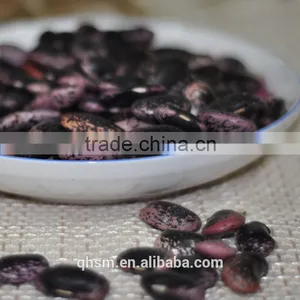 Bulk Beans, Benefits Black Beans, Black Kidney Beans thumbnail-1