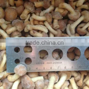 Frozen Nameko thumbnail-2