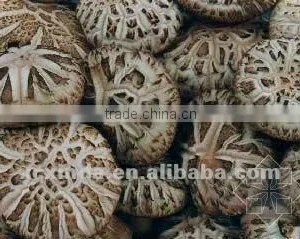 Dried Puffing Mushrooms thumbnail-1