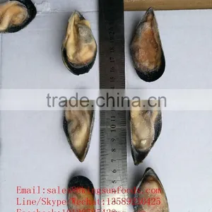 Hot Sale Half Shell Mussel With Good Price/half Shell Green Mussels thumbnail-1