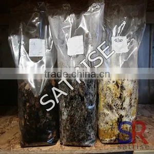 Low Price Best Quality Plastic Mushroom Spawn Bags For Mushroom Cultivation thumbnail-4