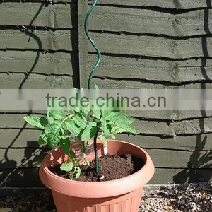 Tomato Spiral Wire thumbnail-1