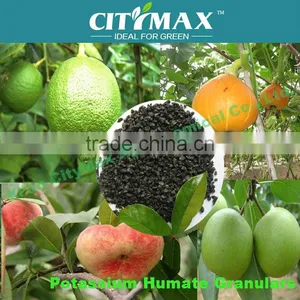 100% Natural Potassium Humic Leonardite Sources thumbnail-1