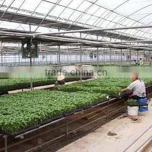 Nursery Systems thumbnail-1