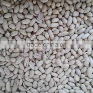 Factory Price Stainless Steel Peanut Crushing and Grading Machine Manufacture thumbnail-4