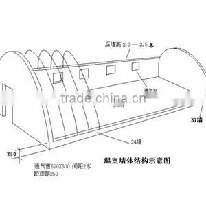 Multi-span Tunnelgreenhouse for Vagetable and Fruits thumbnail-4