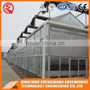 China Multifunction Multi-span Venlo Glass Greenhouse for Flowers thumbnail-3