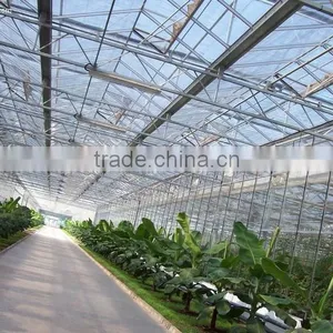 Modern Science and Technology in Greenhouse thumbnail-1