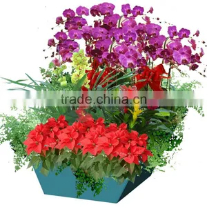 Indoor Decorative Flower Pots ,plastic Tree Pots Planters,planters Flower Pot Indoor Planters, Plastic Planters,table Pots thumbnail-5