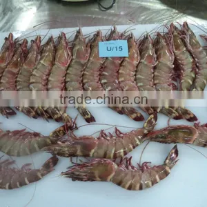 Sea Tiger Shrimps thumbnail-1