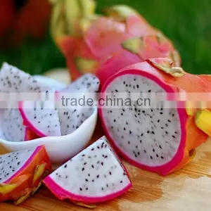 White Flesh Fresh Dragon Fruit From Vietnam/ Pitaya thumbnail-1