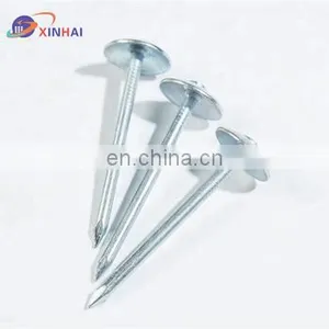 Roof Nail thumbnail-3