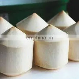 Coconut Vietnam High Quality Competitive Price thumbnail-2