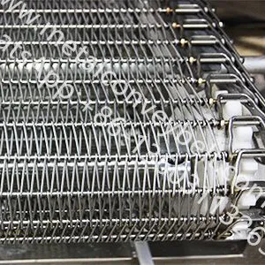 Food Drying Belt Custom Made Stainless Steel Metal Spiral Wire Mesh Conveyor Belt With Chain Driven thumbnail-1