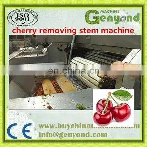 Cherry Stem Stalk Removing Machine Cherry Pitting Machine for Cherry Process Machine thumbnail-3