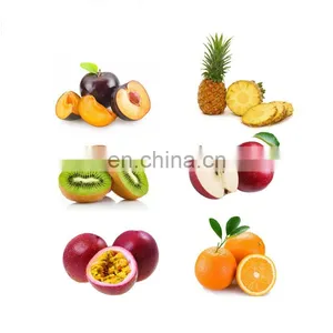 China Factory Pineapple Juice Production Plant Apple Juice Making Machines thumbnail-1