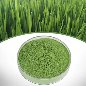 Wheat Grass Juice Powder thumbnail-1
