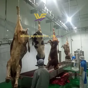 WFA Cattle Slaughtering Equipment Slaughterhouse Device Cow Slaughter Production Line thumbnail-1