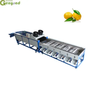 Genyond Hot Sale Fruit Grading Machine With Good Price thumbnail-1