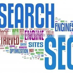 Seo for Ranking Your Website to the Top thumbnail-2