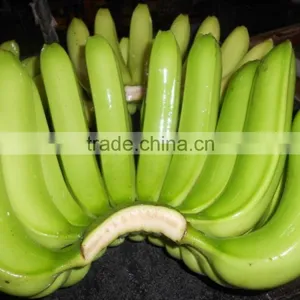 Green Banana for Buyer From All Country thumbnail-1