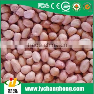 Good Peanut Kernel 24/28 Blanched Peanuts 25/29 //peanuts 40/50 thumbnail-3