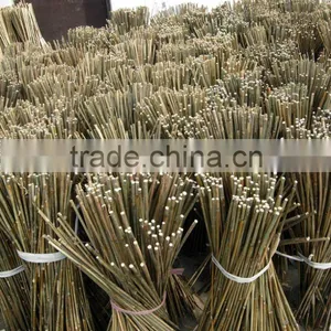 Bamboo Cane thumbnail-1