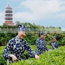 Queentea (Beijing) Co., Ltd. company overview - view 2 thumbnail
