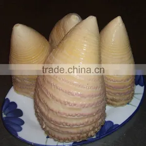 2016 New Crop Canned Bamboo Shoot 2950gram thumbnail-3