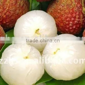 Canned Foodstuff Chinese Canned Lychee in Syrup thumbnail-4