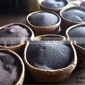 Oilseeds Rape thumbnail-4