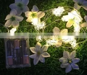 LED Festival Lights thumbnail-5