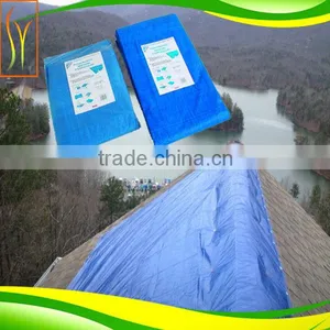 Made-to-order Useful and Durable PE/PP Tarpaulin,PE Tarpaulin Sheet,pe Coated Tarps With Aluminium Eyelets thumbnail-2