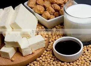Isolated Soy Protein for Extrusion Foods thumbnail-4