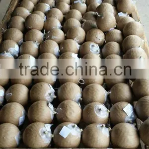 Pyrotechnics Shell Wrapping Machine+taping Machine for 1.5 to 3.0 Inch Shells+fireworks Machine thumbnail-3