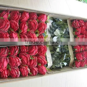 Silk Flower Rose Spray thumbnail-1