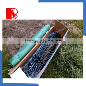 PE Greenhouse With Rolling up Door and Windows, Tunel Szklarniowy Commercial Greenhouses thumbnail-6