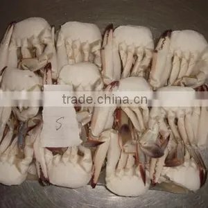 Frozen Half Cut Blue Swimming Crab thumbnail-3