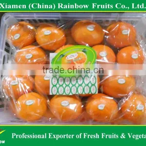Fresh Mandarin Orange Navel Orange thumbnail-1