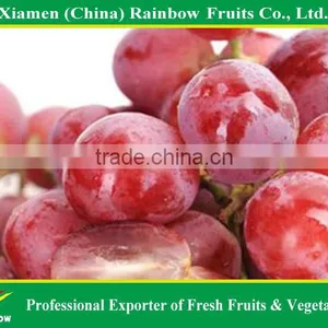 Fresh Chinese Table Grape Red Globe Grape Red Grape to India Asia Market thumbnail-1